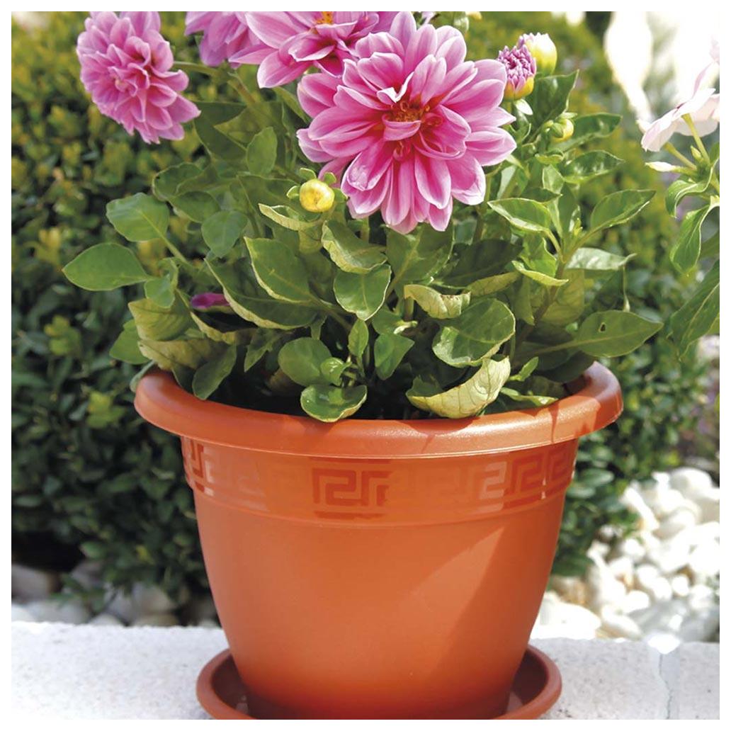 Vaso Redondo 20cm Terracota - Image 2